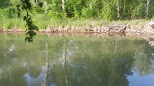 Необетаемый Остров.