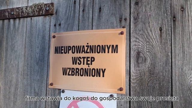 POLE do rozmowy "Tam gdzie rośnie schabowy"