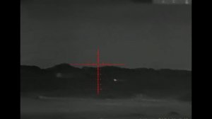 Леший 2, с тепляком по "зайчишкам", модератор new