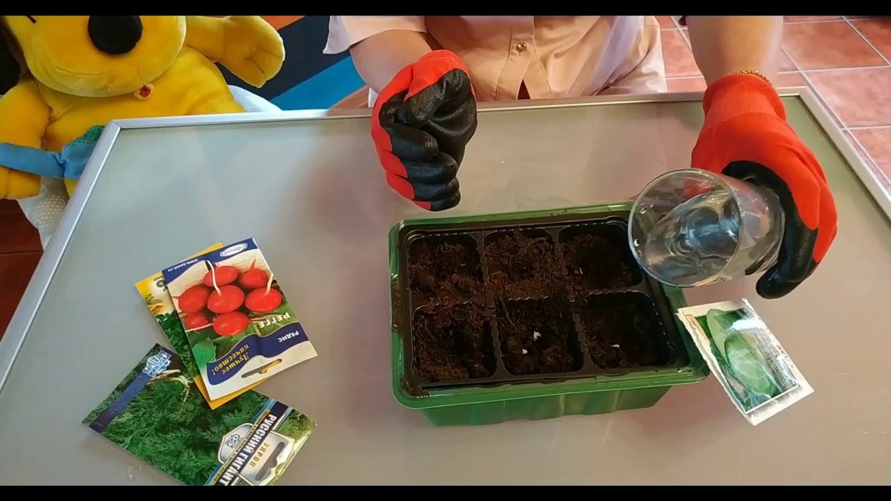 Наш огород смотреть онлайн