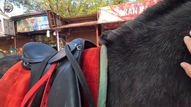 МУЖ ГОТОВИТ НАС К ТРУДНОСТЯМ. Учит давать сдачу