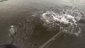 Рыбалка на Волге. За щукой к Петру Денисову
