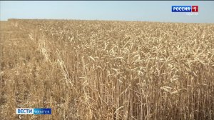 14.30- «Вести» от 03.12.2024г.