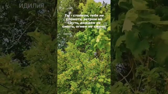 #ты #твойпуть #ченнелинг #вселенная #поток смотреть онлайн