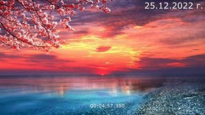 563.1. Красные сапоги 25.12.2022 г.