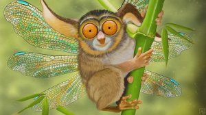 © Надо узнать, что я за птица! 16.09.2018