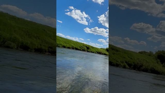 Голавль на Jackall Chubby #fishing #chubby #jackallchubby