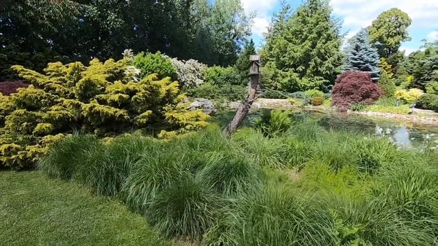 Ogród ze STAWAMI KĄPIELOWYMI смотреть онлайн