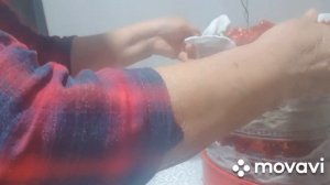 Делаю сама качественную приправу горького перца Чили.