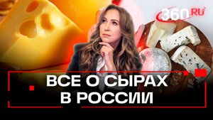 Половина сыров в России - фальсификат, но они полезны для здоровья