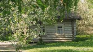 Снится мне деревня