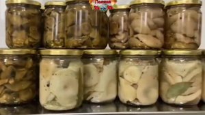 Моховики маринованные