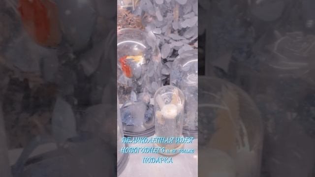 Изготовление цветочных композиций в стеклянной колбе. Цветы в стекле. Подарки. Декор. #флорариум.