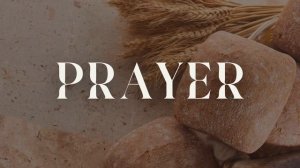 November 22,  2024 Дом Горшечника - Live Stream