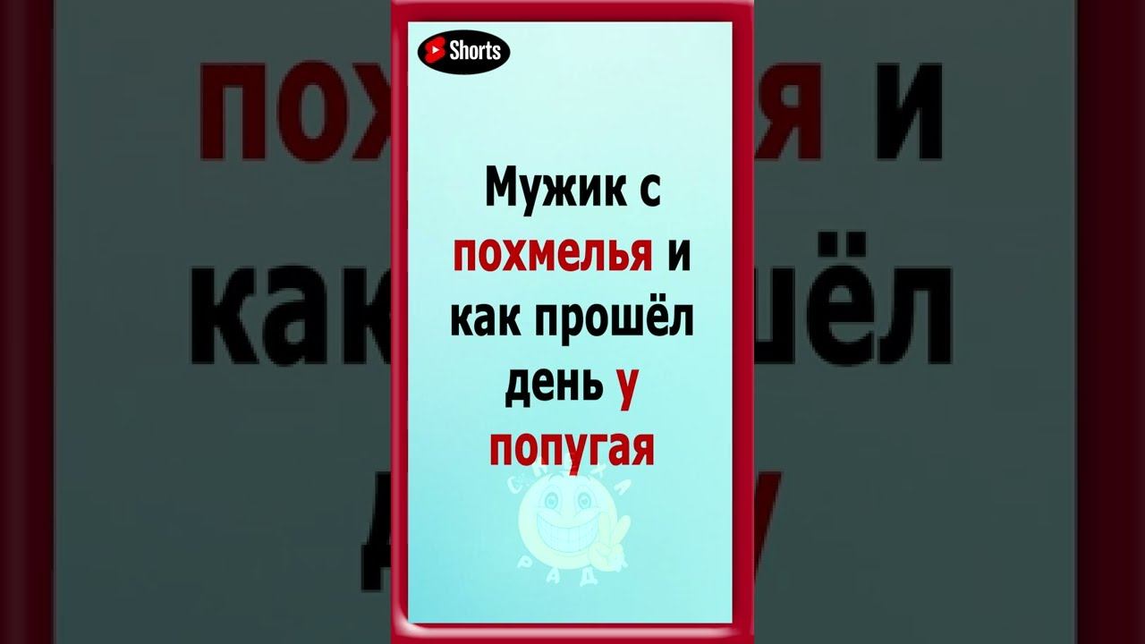Мужик похмелье и как прошел день у попугая #анекдот#анекдотпро#смешнойанекдот
