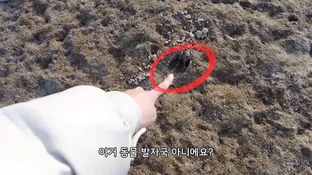 오랜만에 육지 캠핑⛺ | 먹부림🍜🍗🥩 Max  Day| 곰팡이 안녕~ 깨끗해진 러브 하우스💖