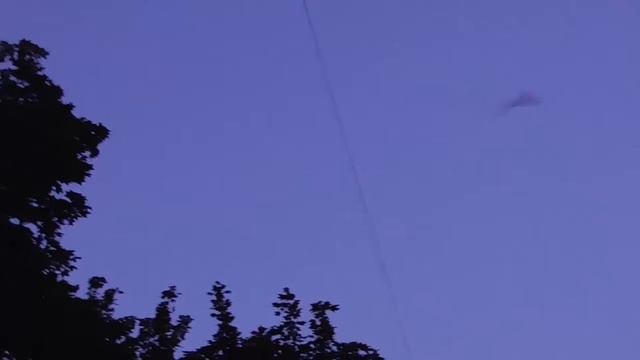 Skyfish - Небесные рыбы над Москвой - Гольяново 28 июня 2020