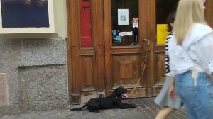 Театр Эстрады  🎭 Аркадий Райкин 🎭  Моя Жизнь Кино @ Музей Псов