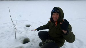 День живца \ Их тут миллионы \ Ну ооочень крупный речной гольян