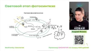 ВЕСЬ ФОТОСИНТЕЗ ДЛЯ ЕГЭ ПО БИОЛОГИИ ЗА 45 МИНУТ | NeoFamily