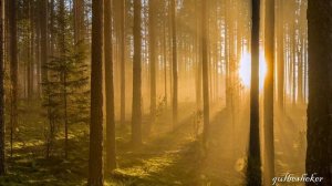 Закаты и рассветы