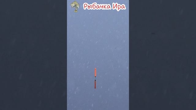 Рыбачу в снежную погоду на поплавок
