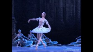 Музыкальная композиция  "Танец балерины под луной". Автор: /Лома ЛИ/