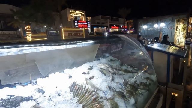Египет 2024. НЕ МОГЛА даже ПРЕДСТАВИТЬ❗️НААМА БЭЙ МОРЕПРОДУКТЫ. Jolie Ville Resort 5*. Шарм Эль Шей