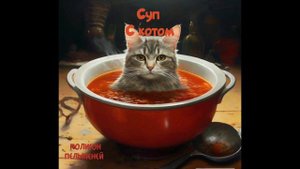Суп с котом