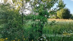 Незачем было ее спасать, а теперь ты уволена. А напоследок заглянув в палату бродяжки…