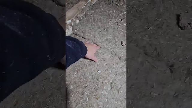 Проблемы пароизоляция бани