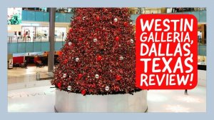 HOTEL REVIEW! The Westin Galleria-DALLAS, TEXAS