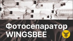 Фотосепаратор WINGSBEE. Сортировка PET-пластика по цвету