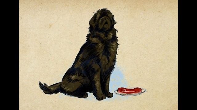 Умные животные зощенко аннотация. Умные животные зощенко аннотация