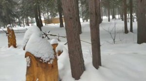 В зимнем парке города Шарьи.