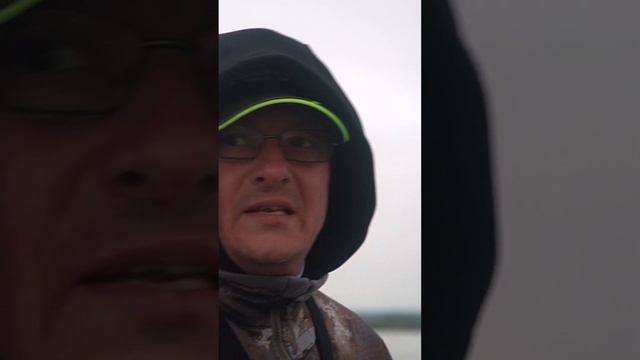Для тех, кому нужен результат #shorts #fishing #norstream #рыбалка #spinning #джиг #спиннинг #судак