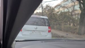 Стандартный сигнал Corolla XI