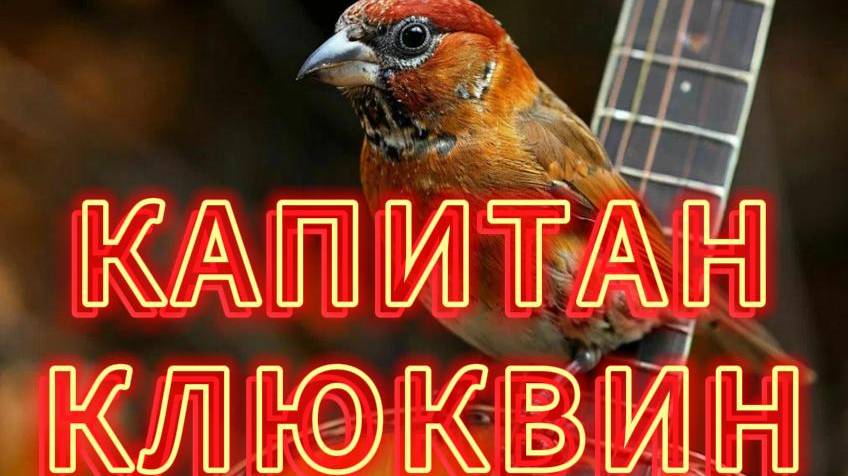 КАПИТАН КЛЮКВИН / АУДИОКНИГА ДЛЯ ДЕТЕЙ / короткие рассказы для детей