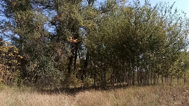 27 ноября народный праздник Филиппов день. Канун Рождественского поста. Важные запреты и традиции.