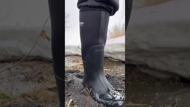 И всё же весенняя рыбалка прекрасна #shorts #spinning #norstream #jackall #swamp #fishing #spring
