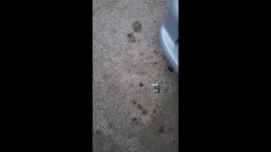 Термодатчик ремонт