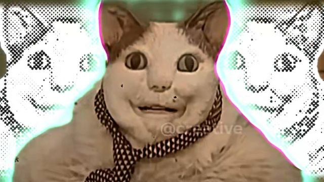 Буу испугался не бойся 3.0