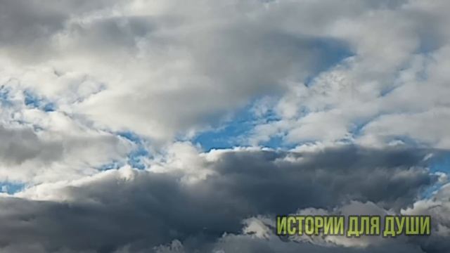 свекровь примчалась моментально, когда я не оплатила интернет мужу и пошутила, что уволилась с...