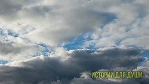 свекровь примчалась моментально, когда я не оплатила интернет мужу и пошутила, что уволилась с...