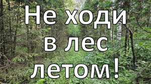 Опасности летних походов