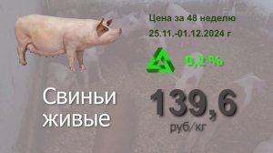 Что сейчас происходит на рынке мясной продукции? Цены за 48 неделю #мясо #аналитика #АПК