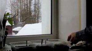 Распопов барбатирование и посадка томатов в феврале 11 г