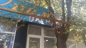 РАЙОН "МАЛАЯ СТАНИЦА" В АЛМАТЫ ГДЕ ГОТОВЯТ САМЫЙ ЛУЧЩИЙ ЛАГМАН ! ЛАГМАННАЯ " УРУМЧИ" В АЛМАТЫ