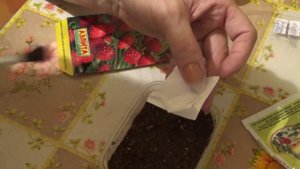 Впл.посев земляники ,лукошко, кисточка.