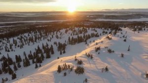 Ничего не изменилось. Автор стихов Наталия Пегас. Нейросеть Суно